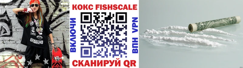 закладка это телеграм COCAIN Fish Scale Будённовск