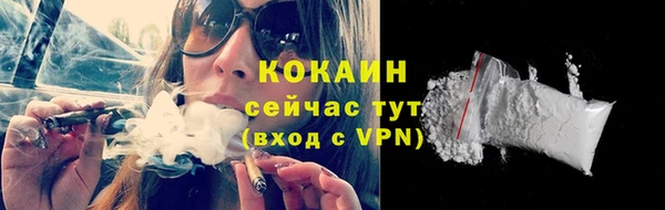 молекула духа Сосновка