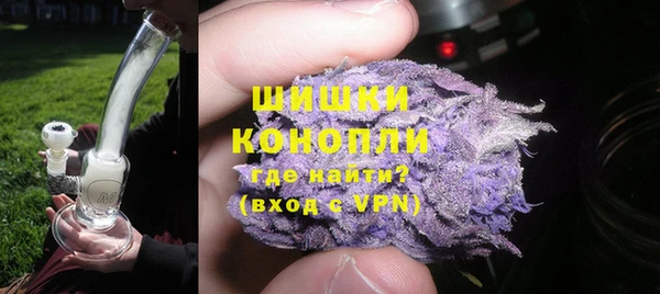 молекула духа Сосновка