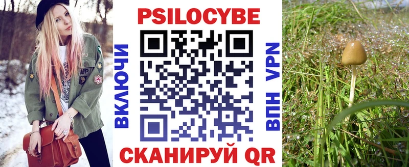 ОМГ ОМГ как зайти  Будённовск  Псилоцибиновые грибы Magic Shrooms 