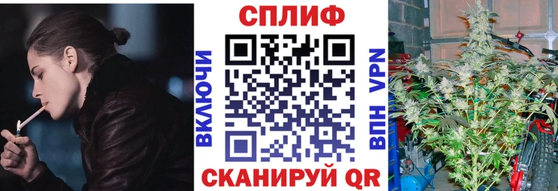 Бошки Шишки конопля  MEGA   Будённовск  где продают наркотики 